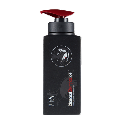 H2B CHARCOAL SHAMPOO SSP 380ml